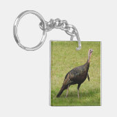 Kevin The Turkey - Old Wethersfield, CT (2写真) キーホルダー (正面左)