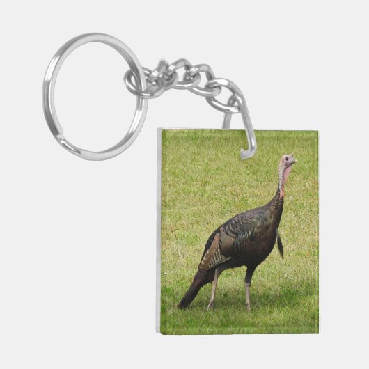 Kevin The Turkey - Old Wethersfield, CT (2写真) キーホルダー (正面左)