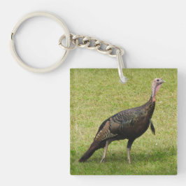 Kevin The Turkey - Old Wethersfield, CT (2写真) キーホルダー
