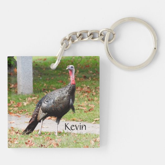 Kevin The Turkey - Old Wethersfield, CT (2写真) キーホルダー (裏面)