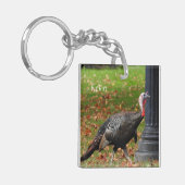 Kevin The Turkey - Old Wethersfield, CT (2写真) キーホルダー (正面左)