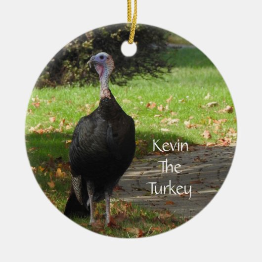 Kevin The Turkey - Old Wethersfield, CT （2辺） セラミックオーナメント (正面)