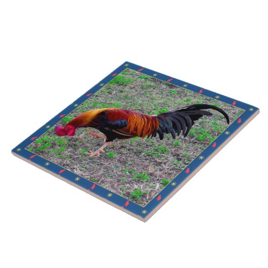 Key Westのオンドリ タイル (側面)