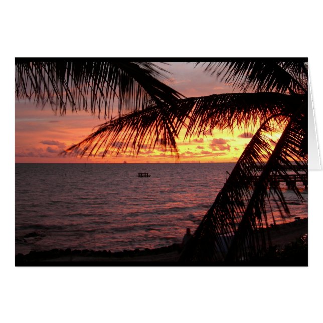 Key Westの日没(ブランク) (正面横)