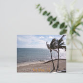 Key Westの郵便はがき ポストカード (スタンド正面)