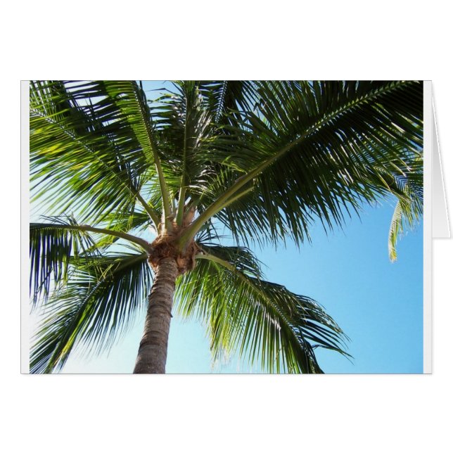 Key West (正面横)