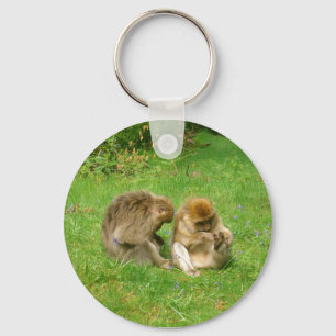 Keychainに手入れをしている猿 キーホルダー