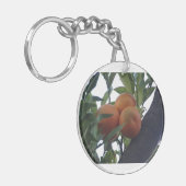 Key'Chainの明るい¡ キーホルダー (正面左)