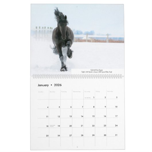 KFPSフリージャシアンスタリオンカレンダー カレンダー (1月 2026)