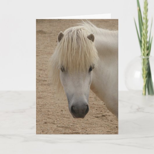 Khalif誕生日カード カード (正面)