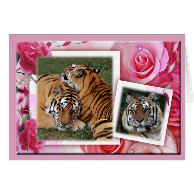 Khan-00100-65x45 (正面横)