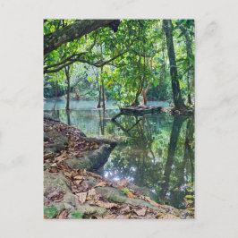 Khoung Siの滝、forest湖、ラオス ポストカード