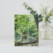 Khoung Si秋、Forest Lake、Laos ポストカード (スタンド正面)