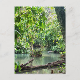 Khoung Si秋、Forest Lake、Laos ポストカード