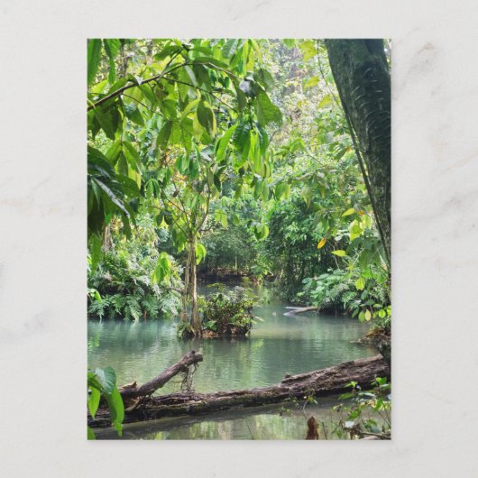 Khoung Si秋、Forest Lake、Laos ポストカード (正面)