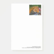 KIA猫の大きいポスト・イット