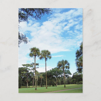 Kiawah Islandの郵便はがき ポストカード