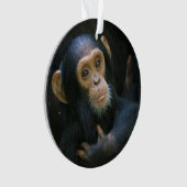 Kibaleのチンパンジーの休日のオーナメント オーナメント (正面)