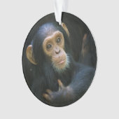 Kibaleのチンパンジーの休日のオーナメント オーナメント (正面)