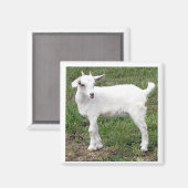 「kid」マグネット マグネット (正面/裏面)