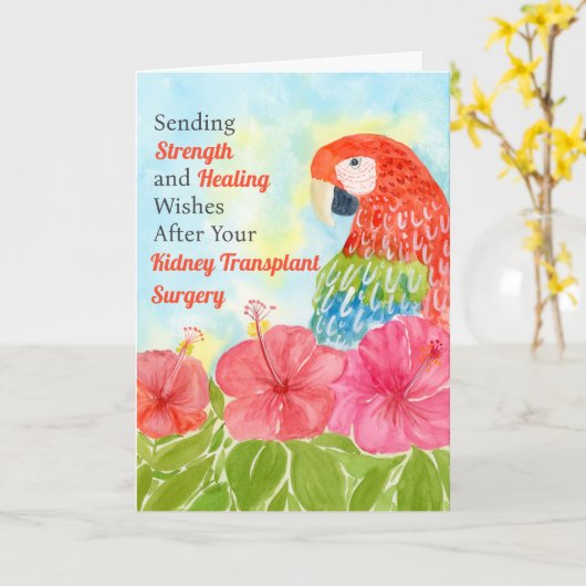 Kidney Transplant Healing Scarlet Macaws, Hibiscus カード (黄色い花)