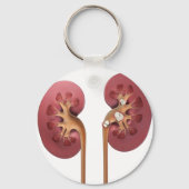 kidneys キーホルダー (正面)