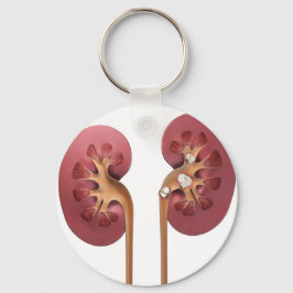 kidneys キーホルダー