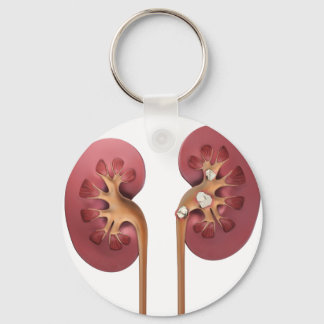 kidneys キーホルダー