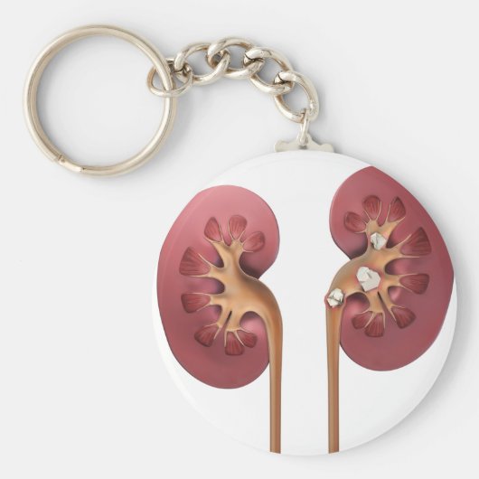 kidneys キーホルダー (正面)