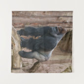 Kidogo the Silverbackでポーズをログに取る タペストリー (正面(横))