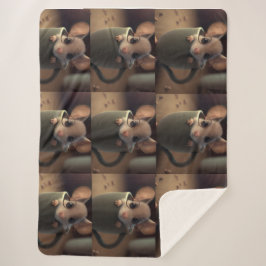 Kids/Babyshower Gift Cute Blanket シェルパブランケット