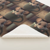 Kids/Babyshower Gift Cute Blanket シェルパブランケット (3/4)