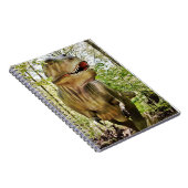 Kids dinosaur notebook ノートブック (右側)