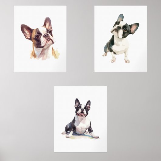 Kids Dog Wall Art, Boston Terrier Poster (正面)