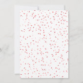 Kids Indoor Playground Red Birthday Party 招待状 (裏面)