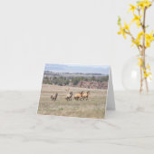 Kiger Bachelors カード (黄色い花)