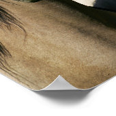 Kiger Mustang Horses Standing Headshots ポスター (角)