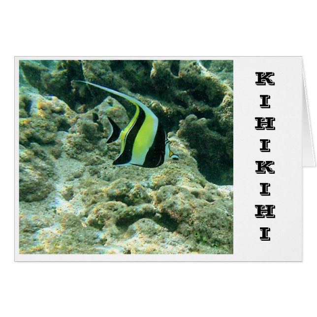 Kihikihi (正面横)