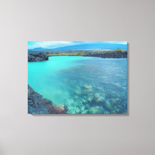 Kiholo Bay Hawaiiは風光明媚なキャンバスの印刷をキャプチャ キャンバスプリント (正面)