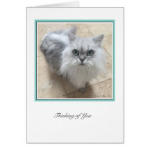 KiKiコレクション番号2