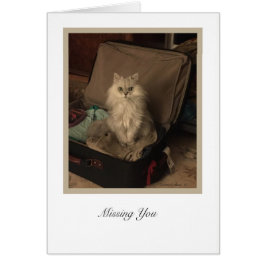 KiKiコレクション