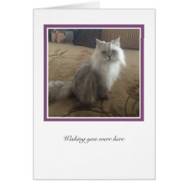 KiKiコレクション# 1