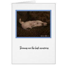 KiKiコレクション#2