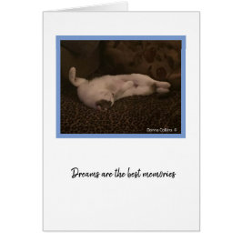 KiKiコレクション#2