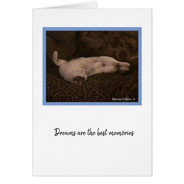 KiKiコレクション#2 (正面)