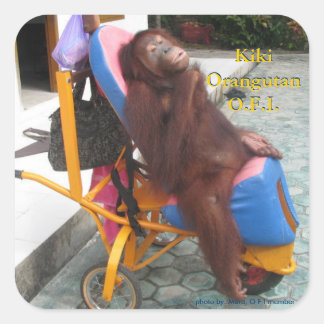 KiKi Orangutan車椅子 スクエアシール