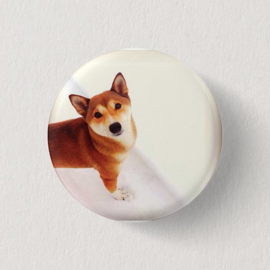 Kiki Shibaのバックパックのボタン 缶バッジ (正面)