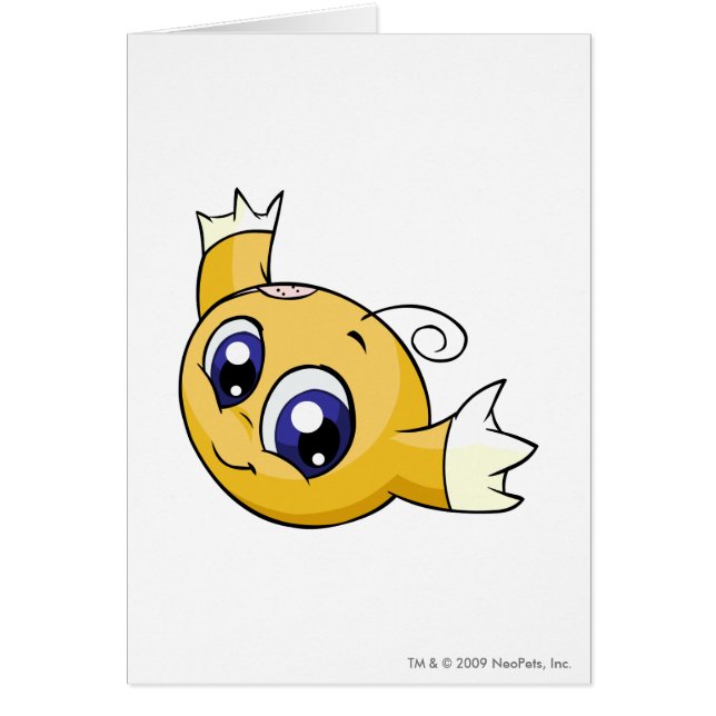 Kikoの黄色 (正面)