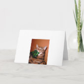 Kikoのlolcatの休日カード-ホモ! シーズンカード (裏面)