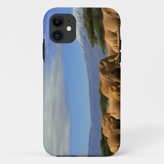 Kilimanjaroおよび象 Case-Mate iPhoneケース (裏面)